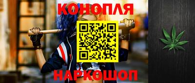 сатива Гагарин