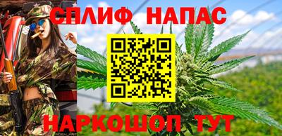экстази Гай