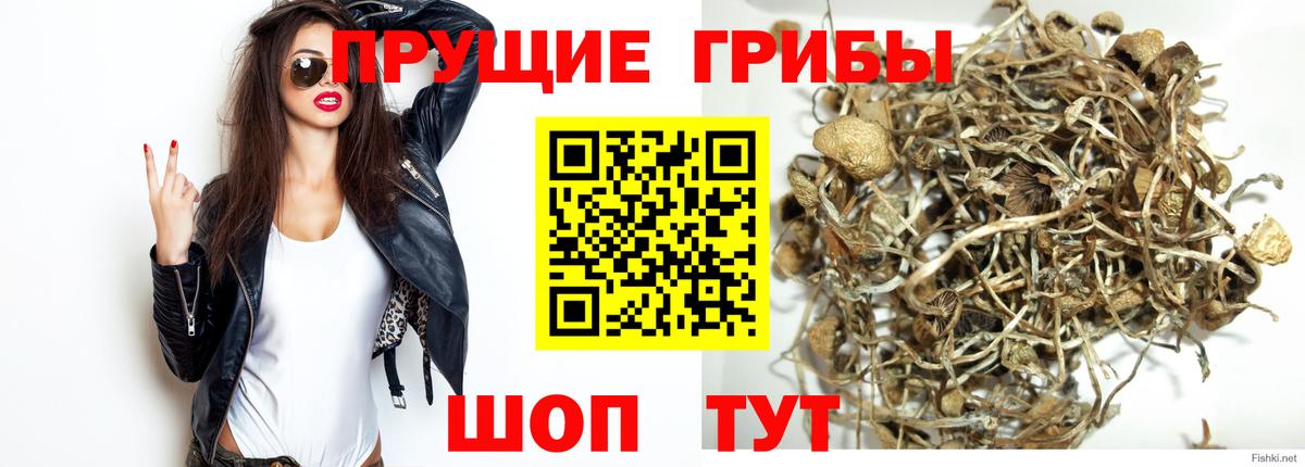 Галлюциногенные грибы мицелий  Псилоцибиновые грибы Magic Shrooms  Менделеевск  Вход с VPN 
